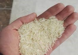 قیمت استثنایی + فروش ویژه برنج فجر فوق اعلا